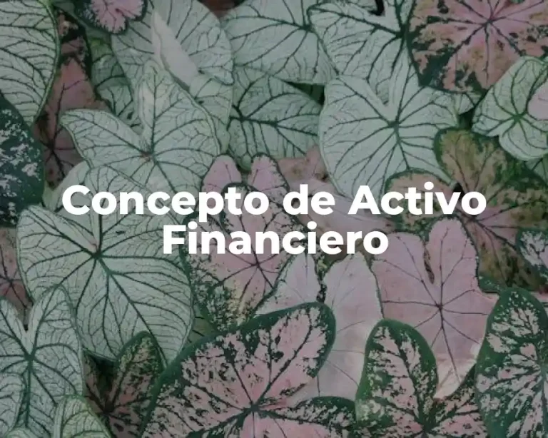 Concepto de Activo Financiero