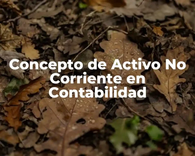 Concepto de Activo No Corriente en Contabilidad