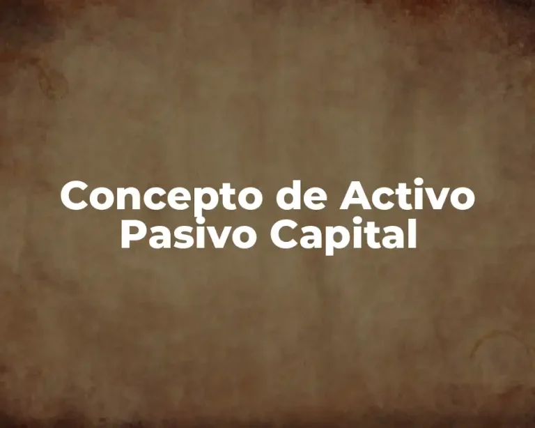 Concepto de Activo Pasivo Capital