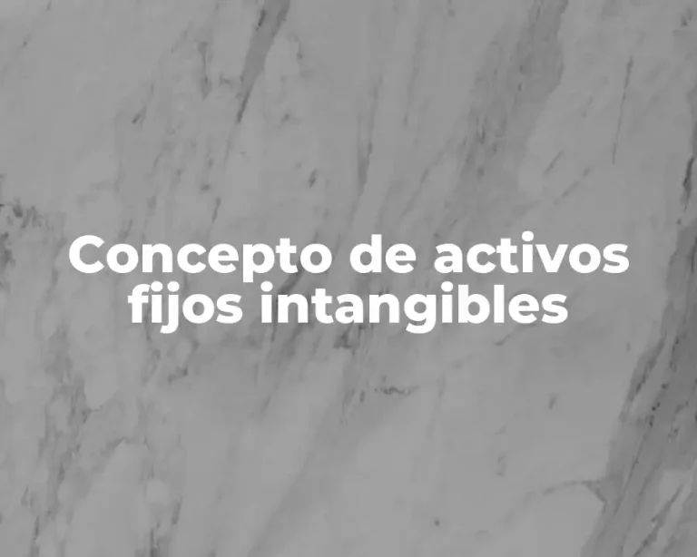 Concepto de activos fijos intangibles