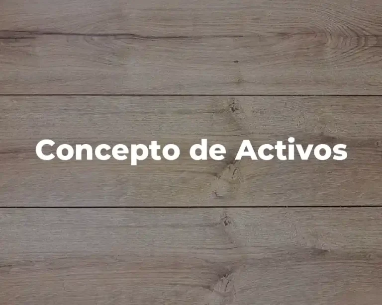 Concepto de Activos