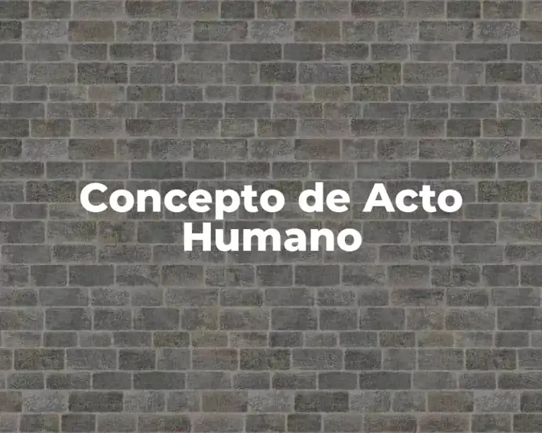 Concepto de Acto Humano