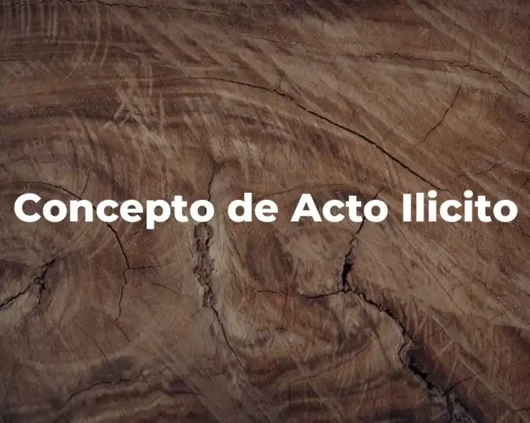 Concepto de Acto Ilicito