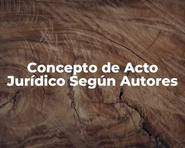 Concepto de Acto Jurídico Según Autores