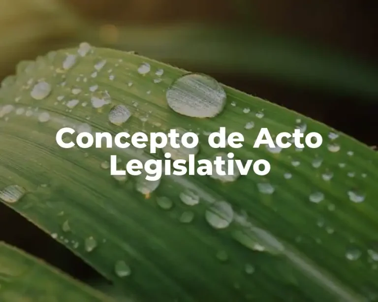 Concepto de Acto Legislativo