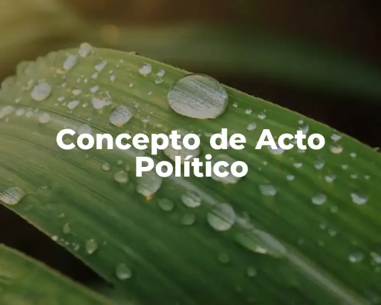Concepto de Acto Político
