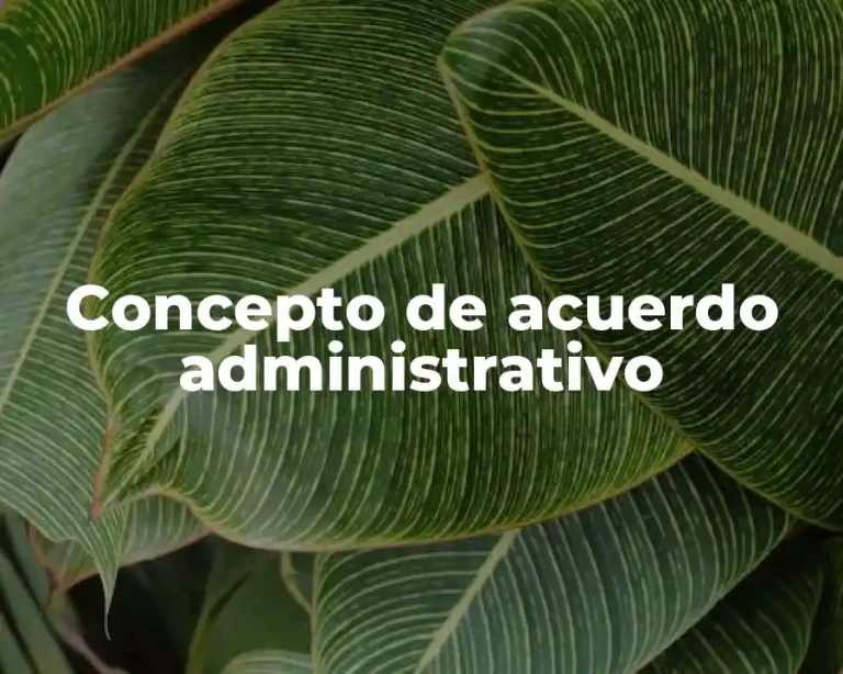 Concepto de acuerdo administrativo