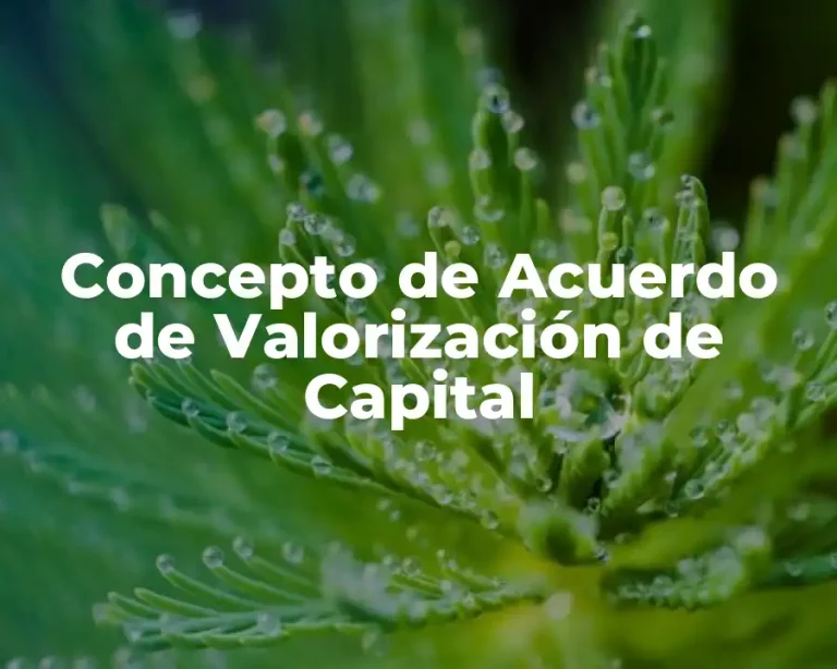 Concepto de Acuerdo de Valorización de Capital