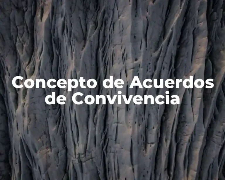 Concepto de Acuerdos de Convivencia