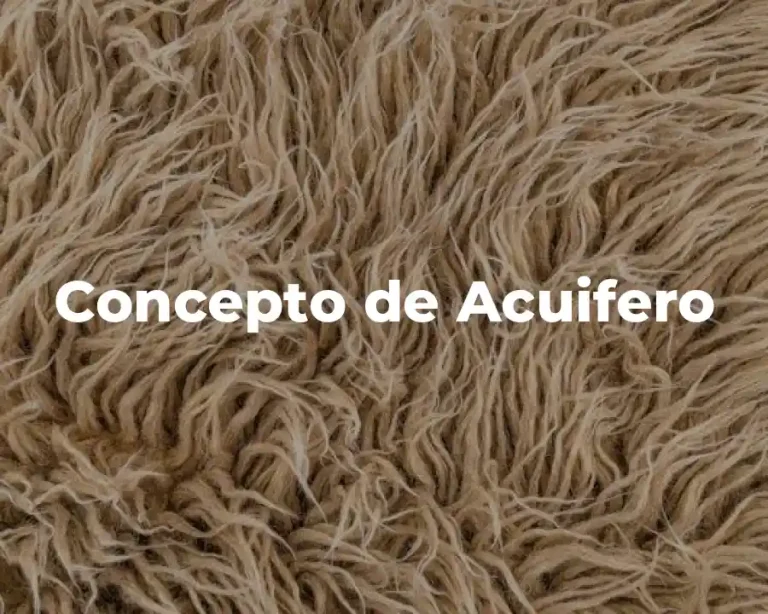 Concepto de Acuifero