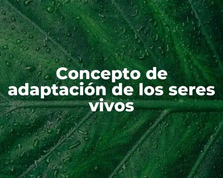 Concepto de adaptación de los seres vivos