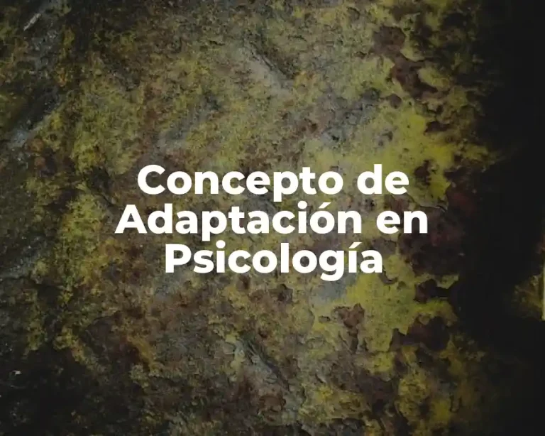 Concepto de Adaptación en Psicología