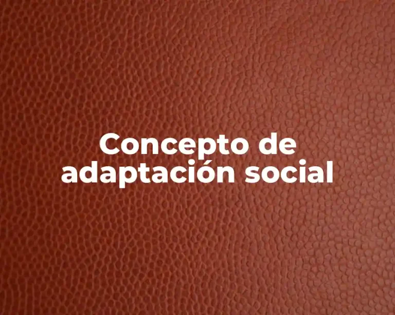 Concepto de adaptación social