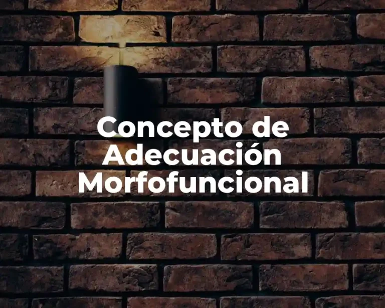 Concepto de Adecuación Morfofuncional