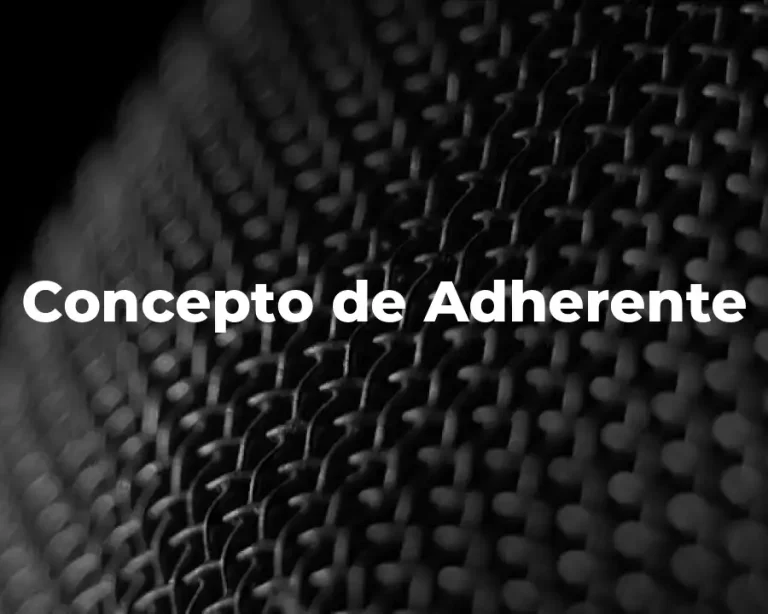 Concepto de Adherente