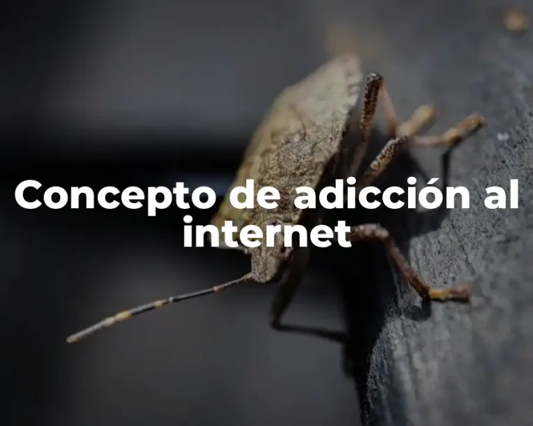 Concepto de adicción al internet