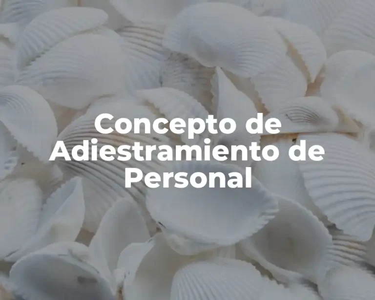 Concepto de Adiestramiento de Personal