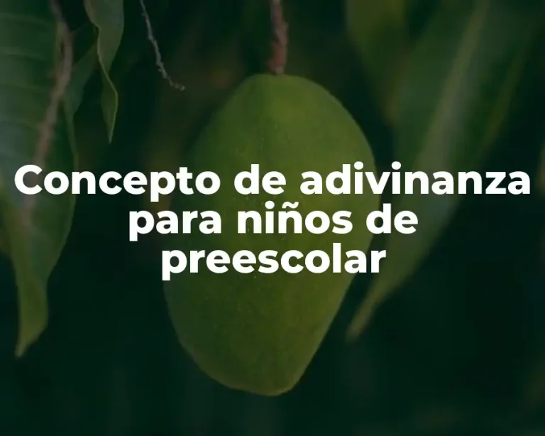 Concepto de adivinanza para niños de preescolar