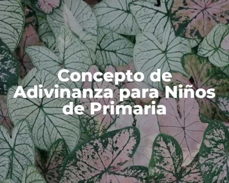 Concepto de Adivinanza para Niños de Primaria