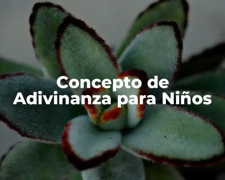 Concepto de Adivinanza para Niños