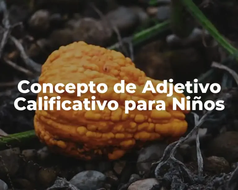 Concepto de Adjetivo Calificativo para Niños