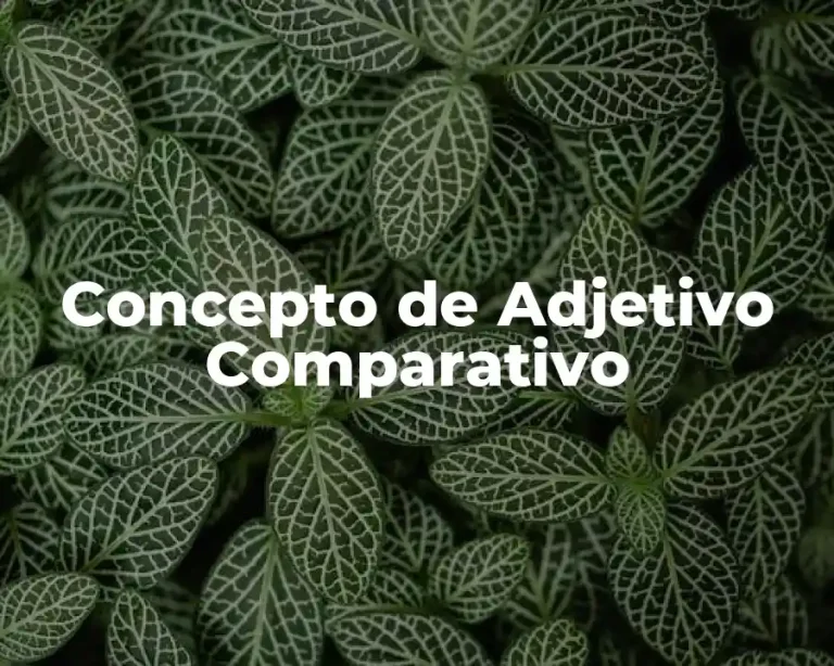 Concepto de Adjetivo Comparativo