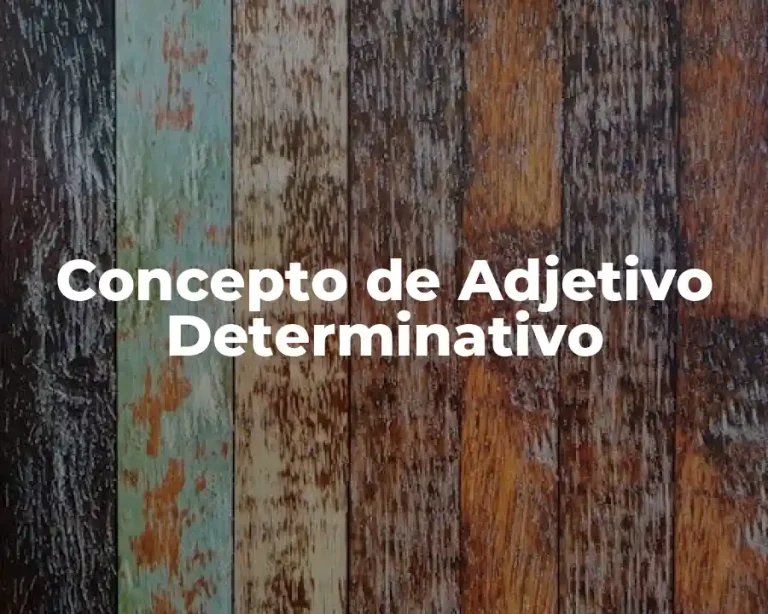 Concepto de Adjetivo Determinativo