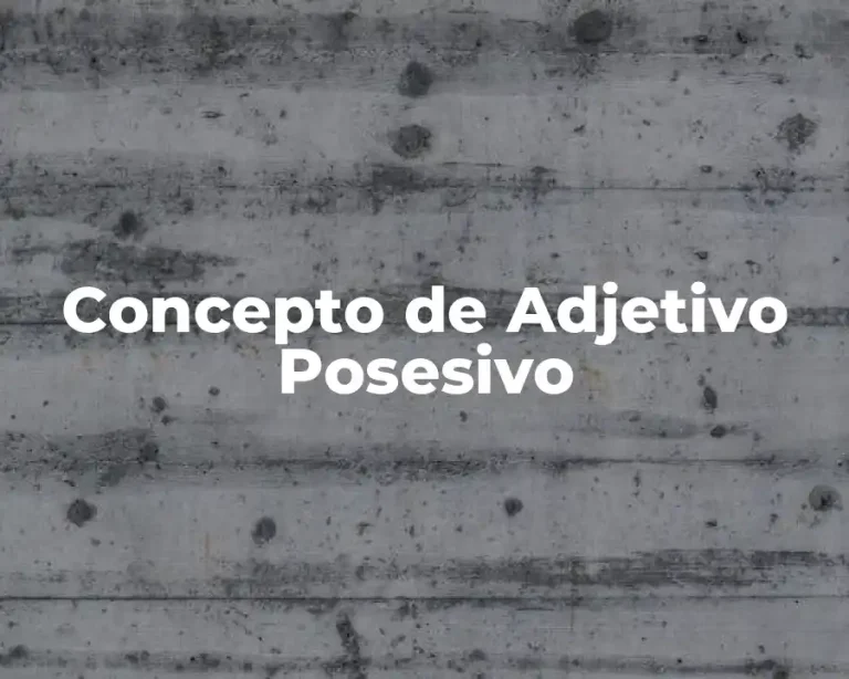 Concepto de Adjetivo Posesivo