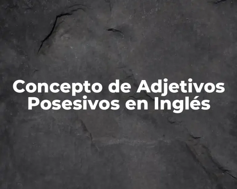 Concepto de Adjetivos Posesivos en Inglés