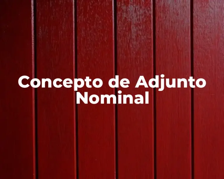 Concepto de Adjunto Nominal