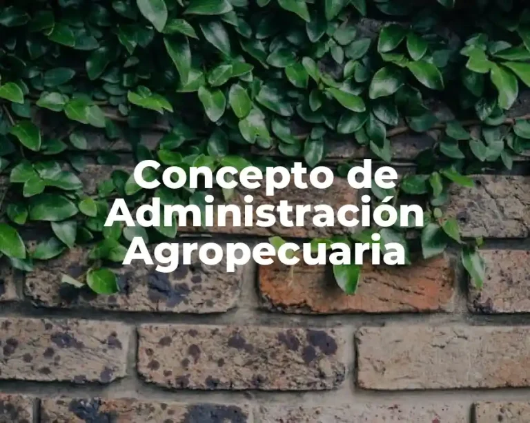 Concepto de Administración Agropecuaria