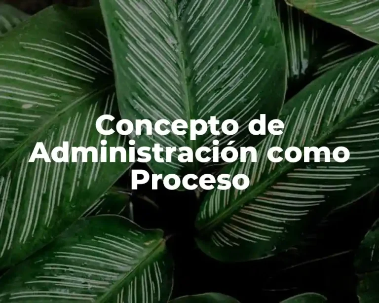 Concepto de Administración como Proceso