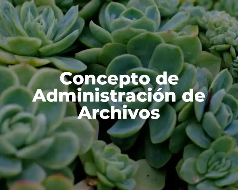 Concepto de Administración de Archivos