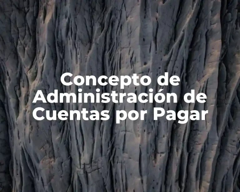 Concepto de Administración de Cuentas por Pagar