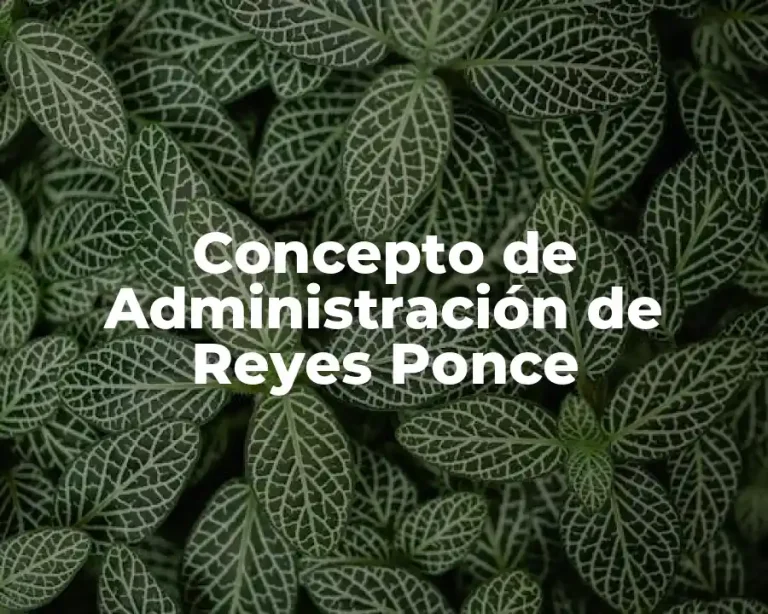 Concepto de Administración de Reyes Ponce