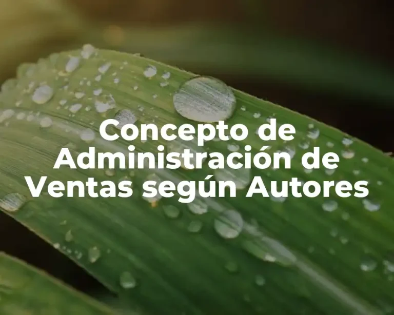 Concepto de Administración de Ventas según Autores