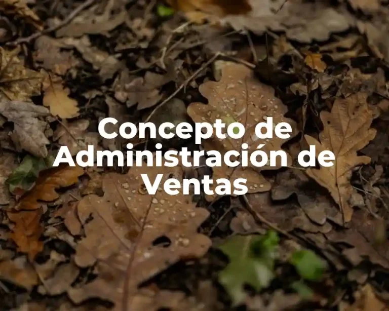 Concepto de Administración de Ventas