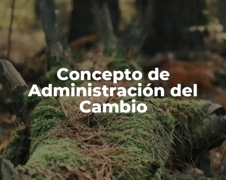 Concepto de Administración del Cambio