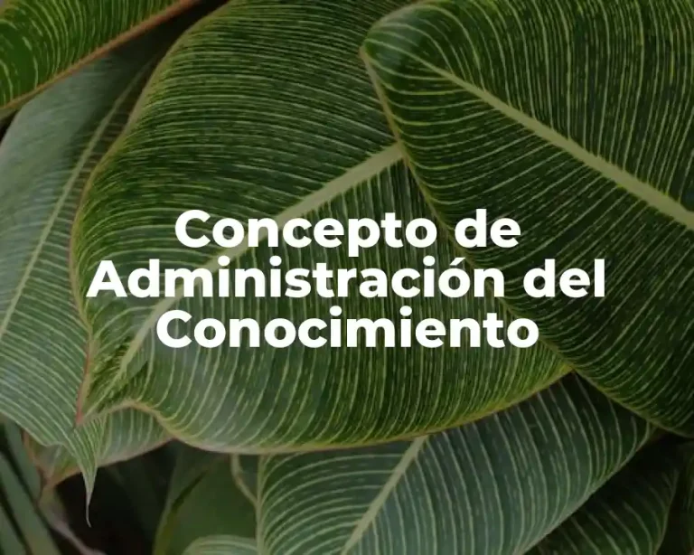 Concepto de Administración del Conocimiento