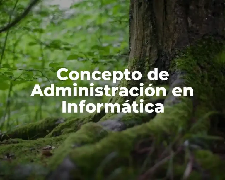 Concepto de Administración en Informática