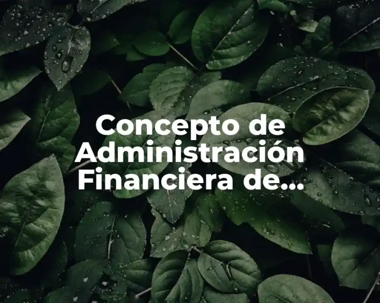 Concepto de Administración Financiera de Inversiones de Capital