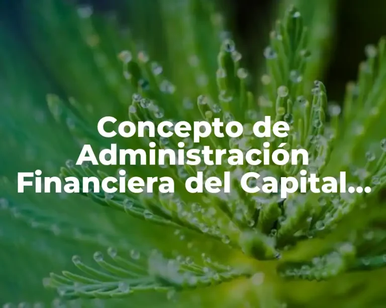 Concepto de Administración Financiera del Capital de Trabajo