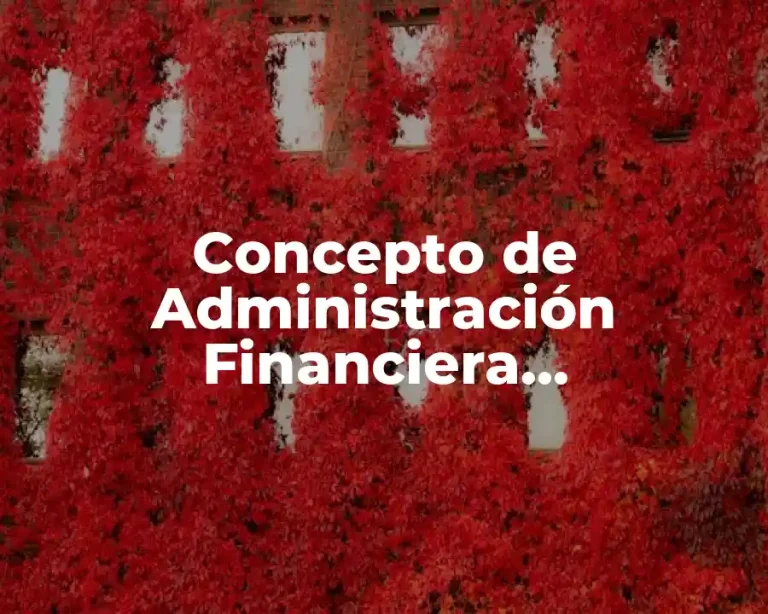 Concepto de Administración Financiera Internacional