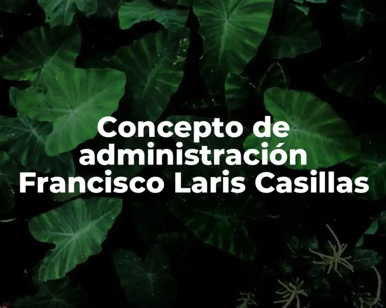 Concepto de administración Francisco Laris Casillas