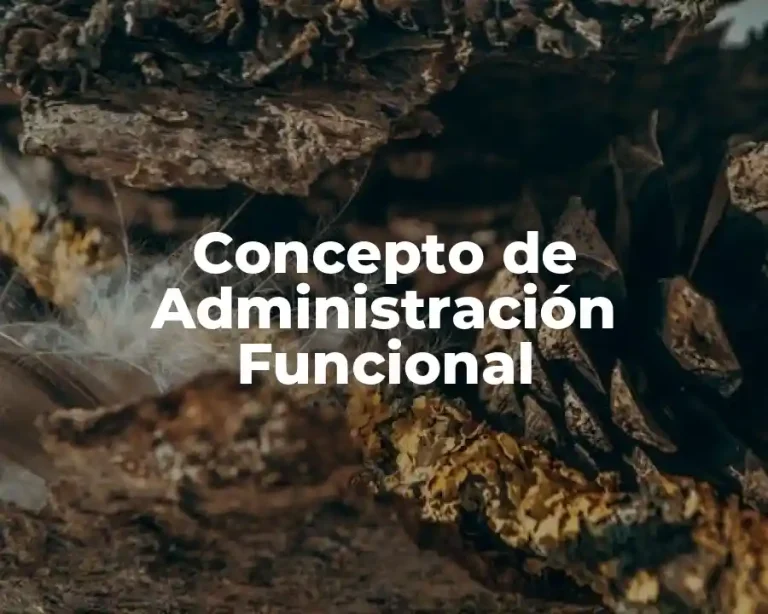 Concepto de Administración Funcional