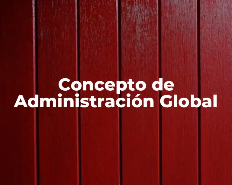 Concepto de Administración Global