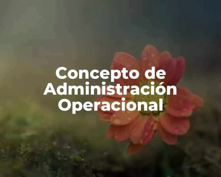 Concepto de Administración Operacional
