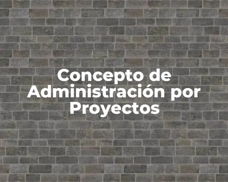 Concepto de Administración por Proyectos
