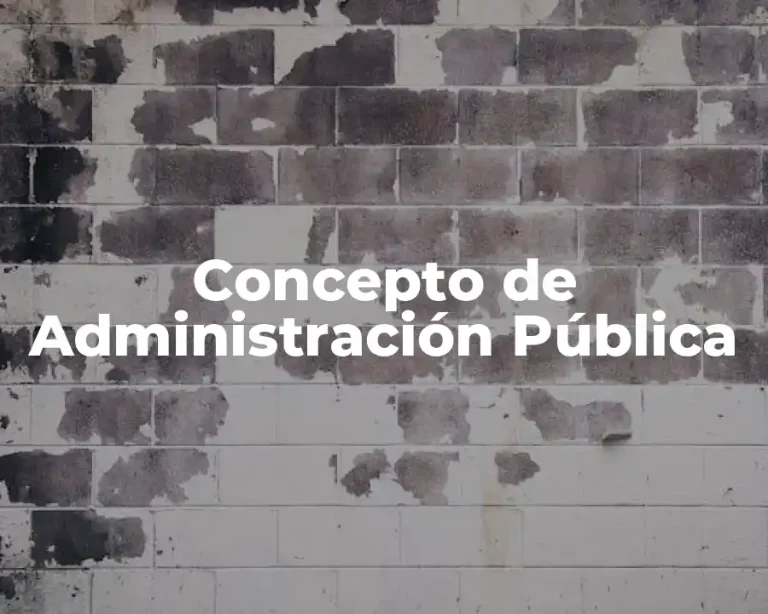 Concepto de Administración Pública