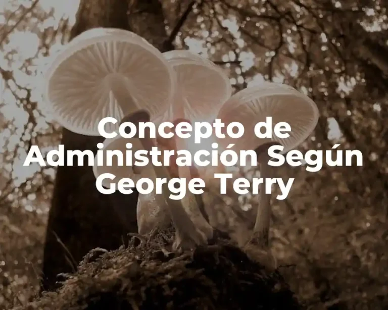 Concepto de Administración Según George Terry
